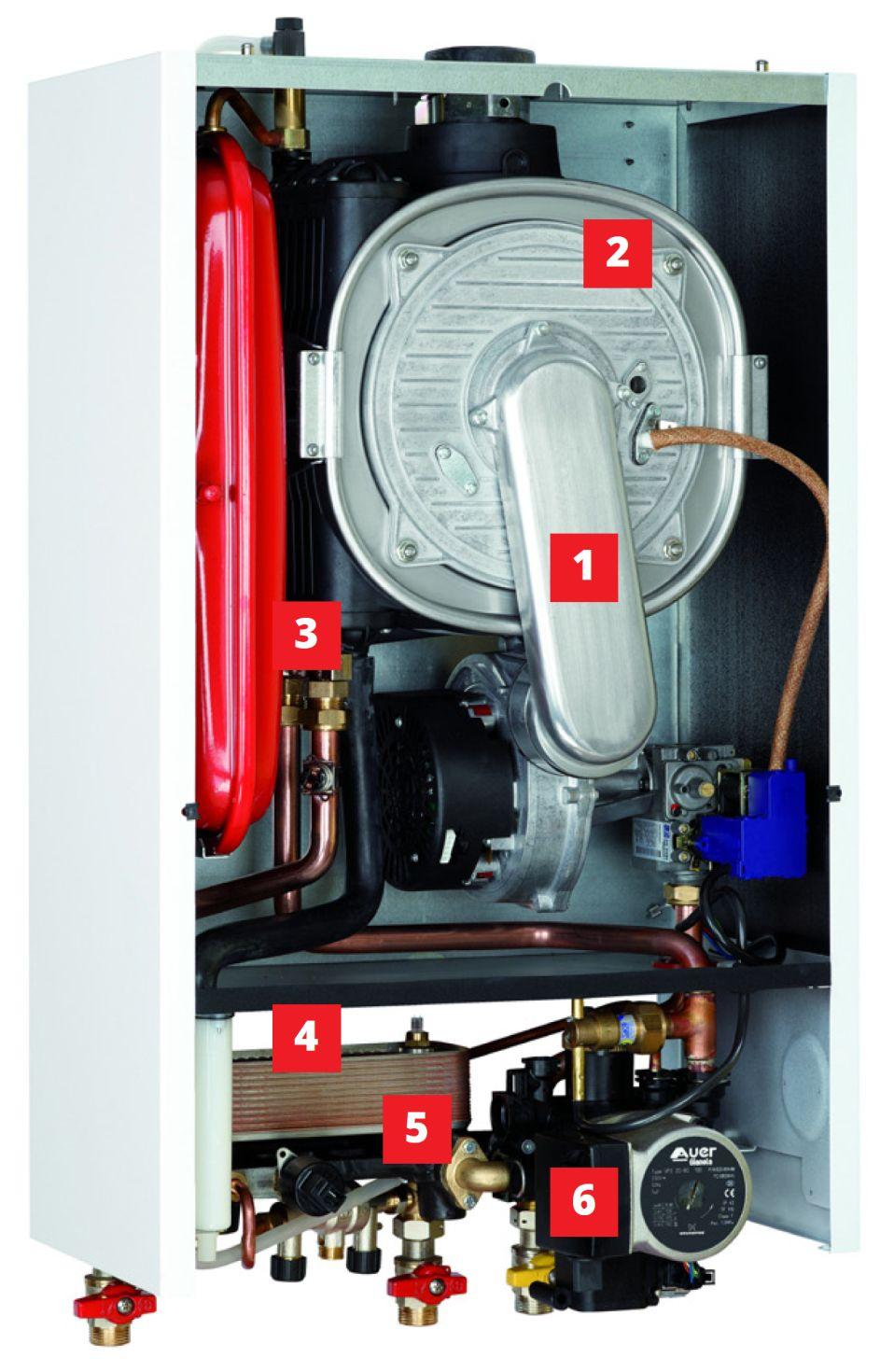 Auer LELIA Profusion Sol